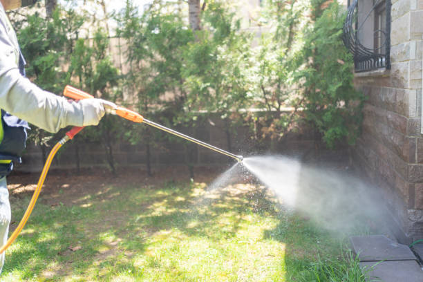 Spider Control Near Me in Mabscott, WV