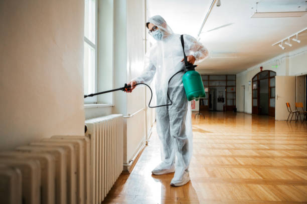 Pest Prevention Services in Mabscott, WV